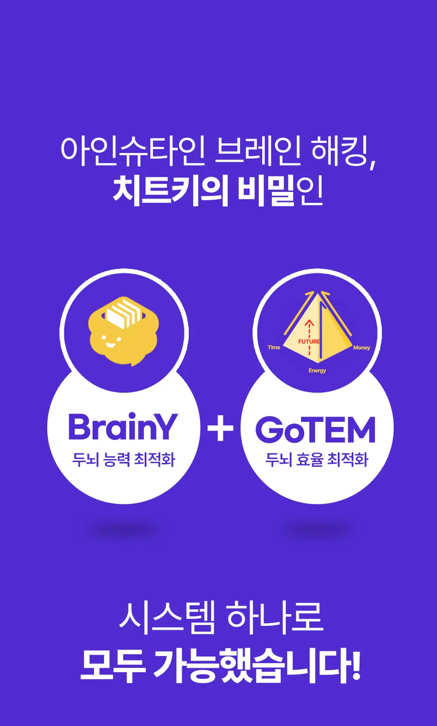 아인슈타인 브레인 해킹, 치트키의 비밀인 BrainY(두뇌 능력 최적화) + GoTEM(두뇌 효율 최적화). 시스템 하나로 모두 가능했습니다!