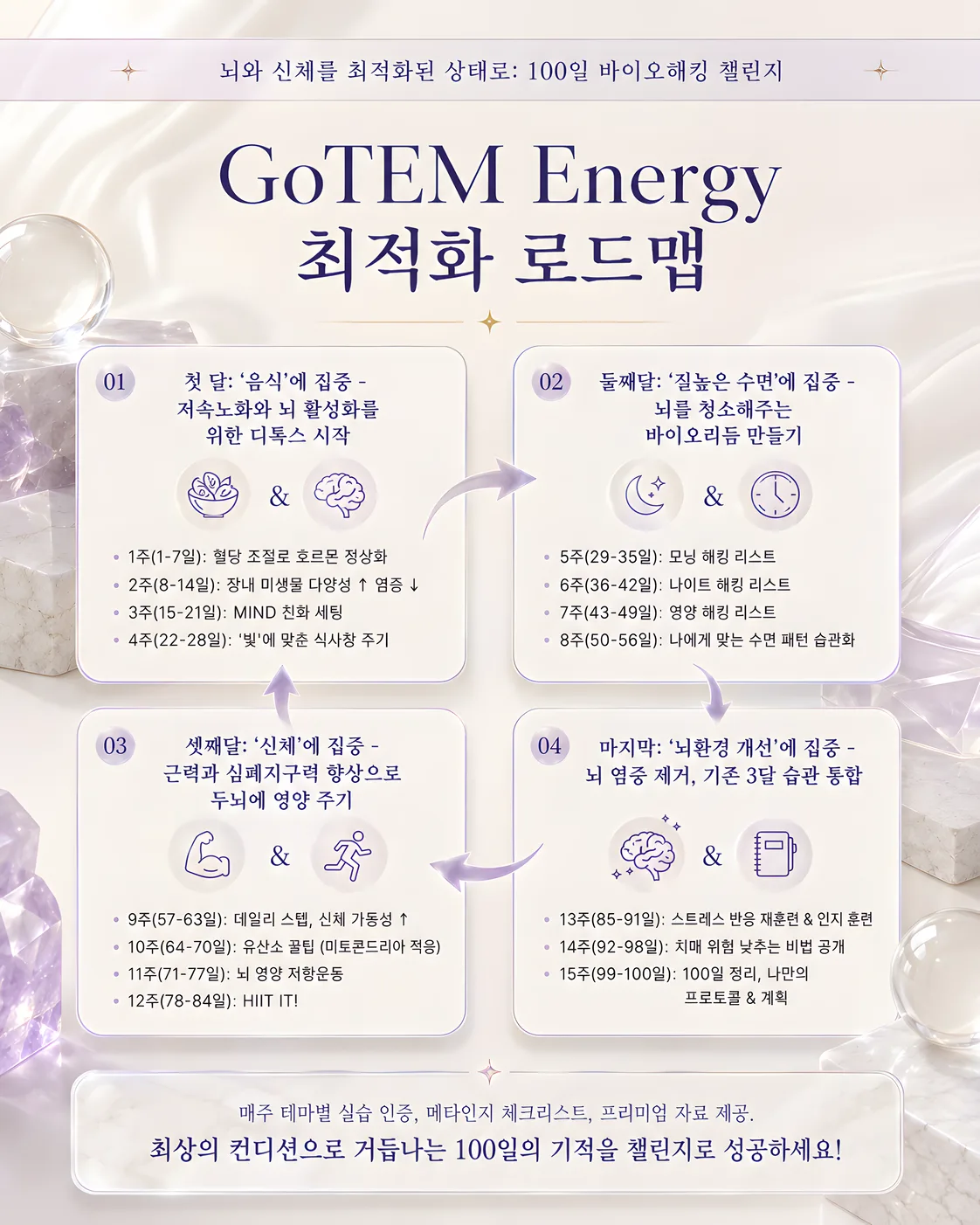 GoTEM Energy 최적화 로드맵: 클릭하여 100일 바이오해킹 챌린지 보기